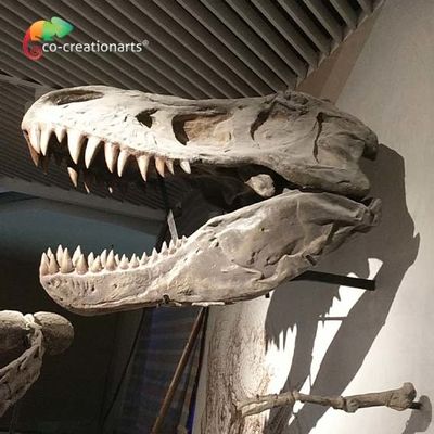 acheter Simulation squelettique de la reproduction T Rex Skeleton Head High de dinosaure artistique réaliste de la CE online manufacture