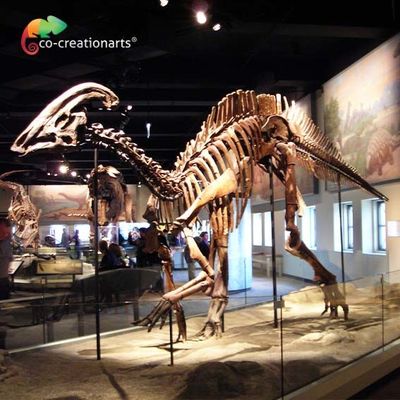 acheter Squelette jurassique de imperméabilisation de Parasaurolophus de reproduction du monde 15 mètres de longueur online manufacture