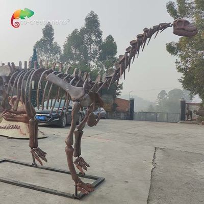 acheter CE Jurassic Park dinosaure squelette réplique Shunosaurus squelette résistant aux intempéries online manufacture