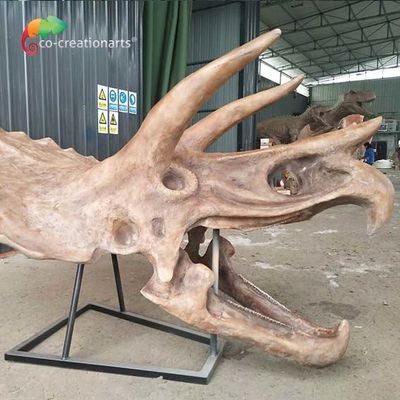 acheter Réplique de squelette de dinosaure hydrofuge ISO Crâne grandeur nature de Triceratops fossile online manufacture