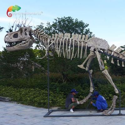 acheter produit hydrofuge des reproductions T Rex Skull de dinosaure de qualité de musée de la longueur 15m online manufacture