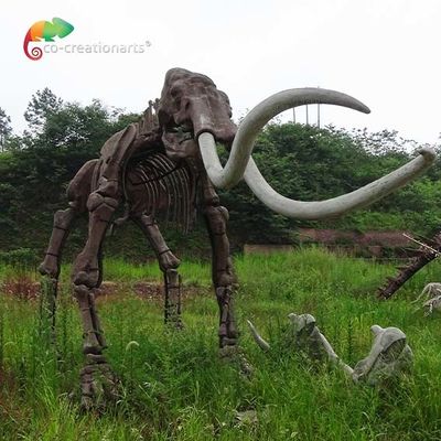 acheter modèle animal de Mammuthus de squelettes de vraie reproduction de taille de reistance de temps online manufacture