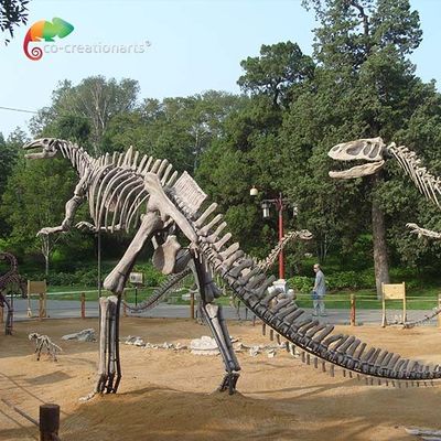 Squelette grandeur nature de Hadrosaurus de reproduction de crâne de dinosaure de fibre de verre anti-vieillissement