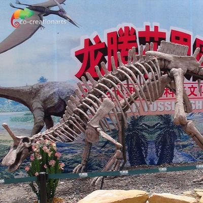 acheter Reproductions Tsintaosaurus grandeur nature Sunproof squelettique de fossile de dinosaure de décoration de parc online manufacture