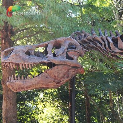 Résistance aux intempéries T Rex Skeleton Replica
