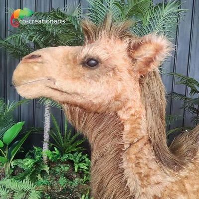 Le chameau de taille adapté aux besoins du client par animaux Animatronic réalistes artificiels a commandé à distance