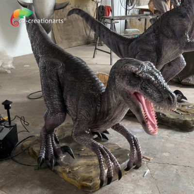 Parc d'attractions Taille de vie Dinosaures animatroniques Velocirapteur animatronique avec des mouvements et des sons réalistes
