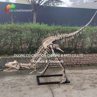 Décoration extérieure très détaillée Resine squelette de dinosaure réplique squelette de T-Rex