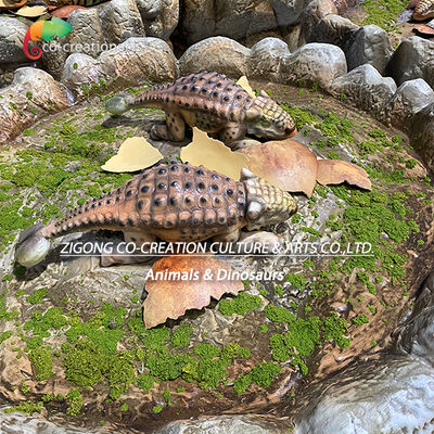 Acheter Un nid de dinosaures animé avec des bébés dinosaures imprimés en 3D et un écran acrylique fabrication en ligne