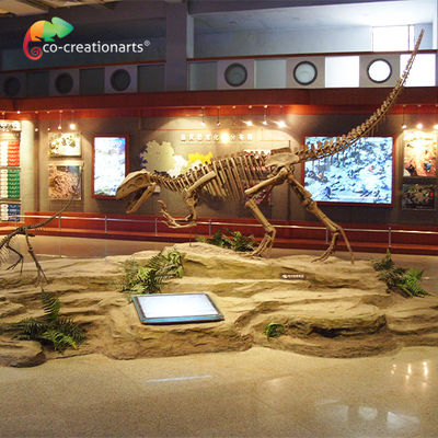 Un bon prix. Crâne de Gasosaurus squelette de dinosaure en résine résistant au soleil en ligne