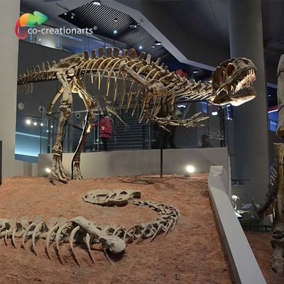 Un bon prix. landscape decoration Outdoor Yangchuanosaurus Skeleton Dinosaur Replica Fossil en ligne