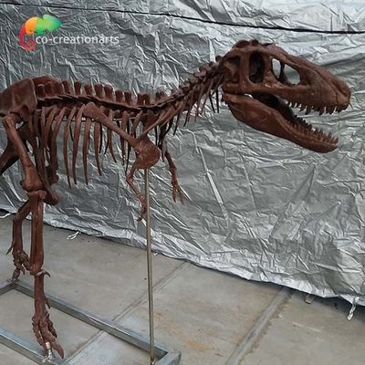Un bon prix. Reproductions personnalisées T Rex Skull Replica d'os de dinosaure de personnalisation en ligne