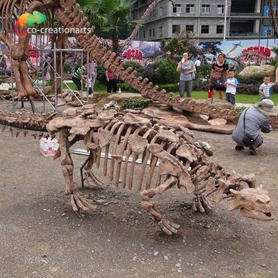 Un bon prix. Reproduction squelettique Sunproof grandeur nature de dinosaure de décoration de parc en ligne