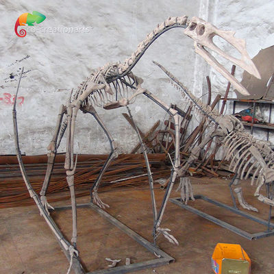 Un bon prix. Squelette squelettique de Quetzalcoatlus de dinosaure de résine d'exposition de musée personnalisable en ligne
