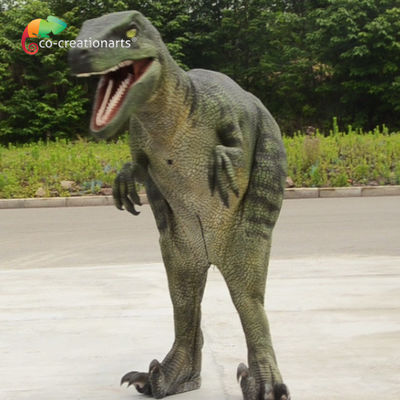 Un bon prix. 1.7m Animatronic Dinosaure Velociraptor Costume Réaliste Créer des scènes spectaculaires du Jurassique en ligne