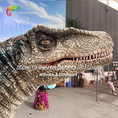 Vélociraptor animatronique réaliste : Exposition dynamique de qualité muséale avec mouvements réalistes et peau détaillée pour une éducation immersive
