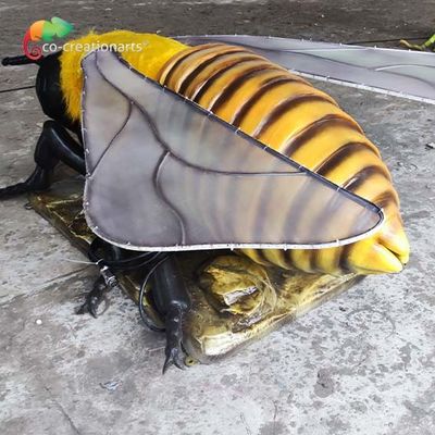Nom