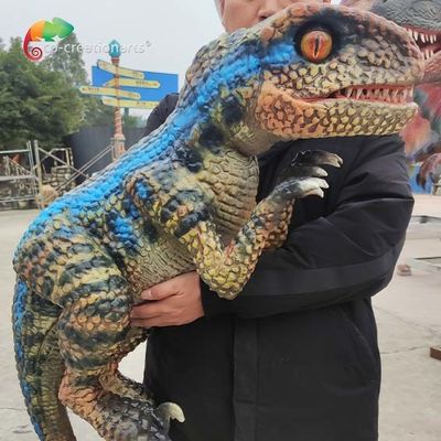 Nom