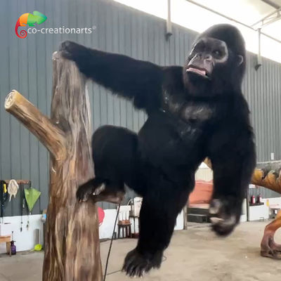 Nom