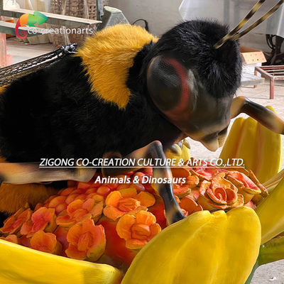 Nom